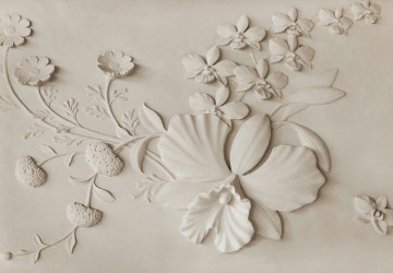kabartma beyaz çiçekler ve yapraklar